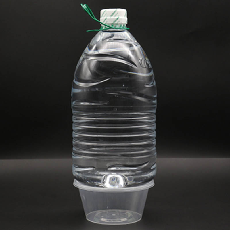 Plastic tableware molding